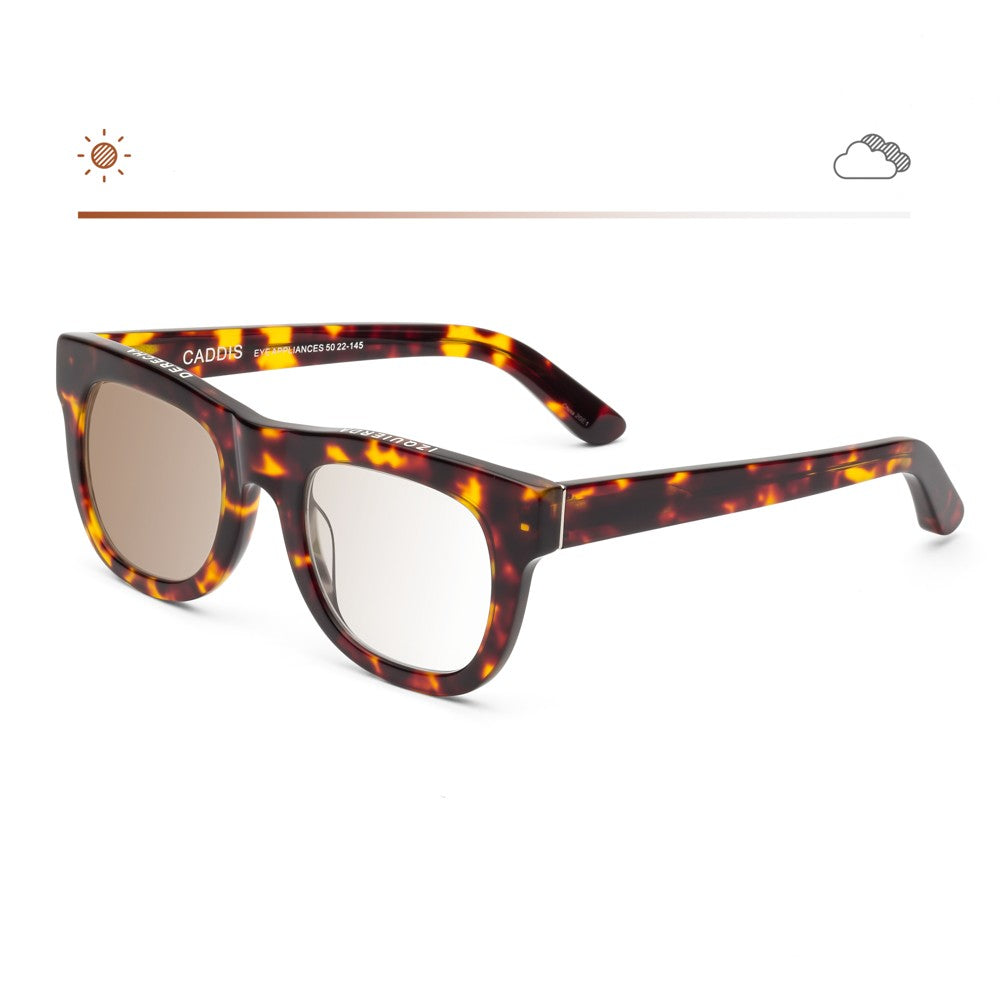 D28 Readers in Turtle