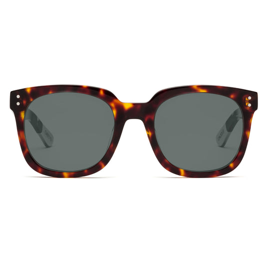 Jockamo Gloss Turtle Sunglasses