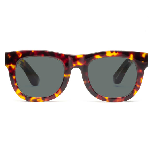 D28 Gloss Turtle Sunglasses