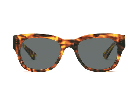 Miklos Prescription Sunglasses Terrapin